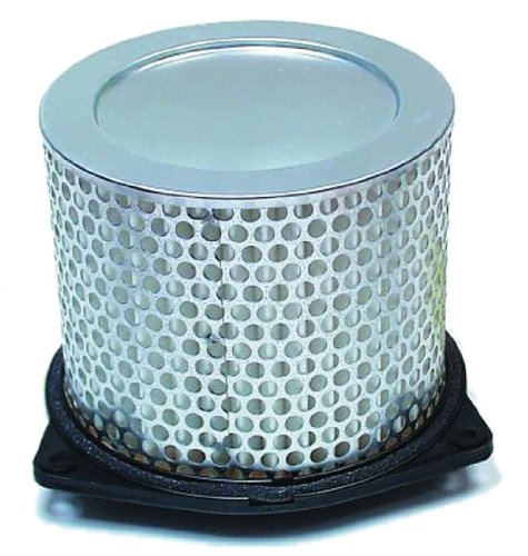 Hiflofiltro Hfa3602 Premium Oe Replacement Air Filter
