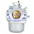 Labwork Carburetor Replacement 799728 494392 495706 496592 498027 499161 Carb