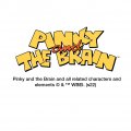 Graphics More Pinky The Brain Head Novelty Metal Vanity Tag License Plate