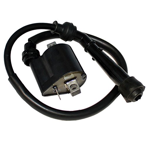 Ignition Coil Suzuki Atv Alt125 1983-1986 Lt185 1984-1987 Alt 125 Lt 185 Lt-185