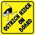 5in X Ostrich Rider On Board Magnet Magnetic Vehicle Hobby Bumper By Stickertalk 