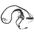 Electrical Wiring Harness Sensitive Flexible Main Wire Function Atv For 660 Yfm660r
