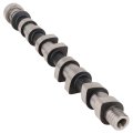 Engine Camshaft For 2004 To 2008 Chevy Aveo And 2006 Aveo5 Replace Oe 96182606 1 6l L4 Gas Dohc 