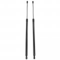 A-premium Rear Tailgate Lift Supports Shock Struts Compatible With Lincoln Mkt 2010-2019 2-pc Set