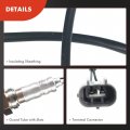 A-premium O2 Oxygen Sensor Compatible With Toyota Celica 1994 1995 1996 1997 1998 1999 Rav4 Tercel Paseo Replace 89465-20420