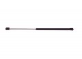 Strongarm 6194 Back Glass Lift Support Pack Of 1 Black 
