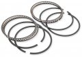 Hastings 2-cyl Ring Set 