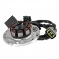Topteng Engine Ignition Stator Base Assy Is Suitable For Kawasaki Kx125 Kx125m6f 2006 Kx125m7f 2007 Kx125m8f 2008