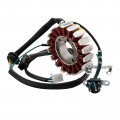 Topteng Magneto Generator Stator Coil For Honda Xr125l 2003-2007 31120-krh-d00 31120-krh-d01