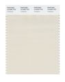 Pantone Smart 12-5202x Color Swatch Card Turtledove 