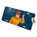 Graphics More Scooby Doo Velma Character Novelty Metal Vanity Tag License Plate