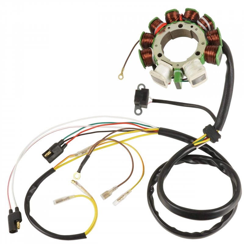 Caltric Compatible With Stator Polaris 4-stroke