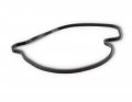 Canam 2006-21 Renegade Outlander Maverick Commander Water Pump Gasket 420651190