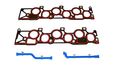 Dnj Engine Components Ig4120 Manifold Gaskets Intake 