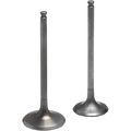 Tensilite Titanium Intake Valve 