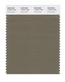 Pantone Smart 17-0517x Color Swatch Card Dusky Green 