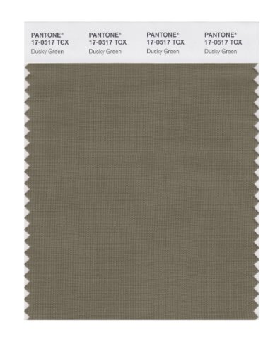 Pantone Smart 17-0517x Color Swatch Card Dusky Green