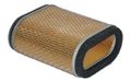 Hiflofiltro Hfa2405 Premium Oe Replacement Air Filter 