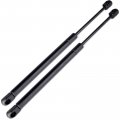 Ocpty Lift Supports Gas Springs Struts Shocks 6322 22ez Sg326015 Strut Fits For Acura Cl 3 2l 2001-2003 For Tl 3 1999-2001