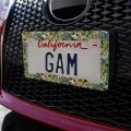 Animal World Panda Elephant Cheetah Pattern License Plate Tag Frame