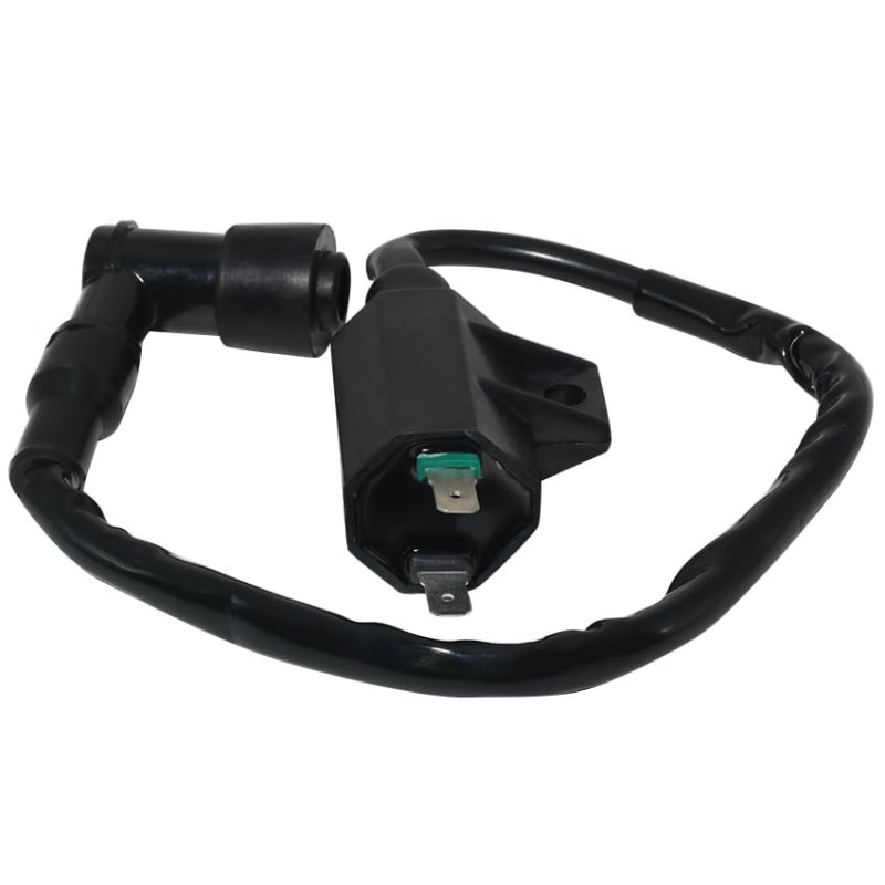 Ignition Coil 21121-1160 21121-1198 For Kawasaki Klf220 Klf220a Klf250 Klf250a Klf400 Klb Bayou 220 250 400 Kvf300 Kvf360