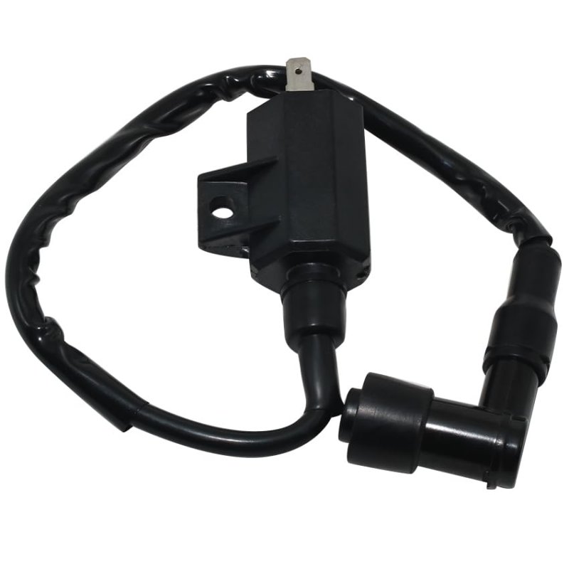 Ignition Coil 21121-1160 21121-1198 For Kawasaki Klf220 Klf220a Klf250 Klf250a Klf400 Klb Bayou 220 250 400 Kvf300 Kvf360
