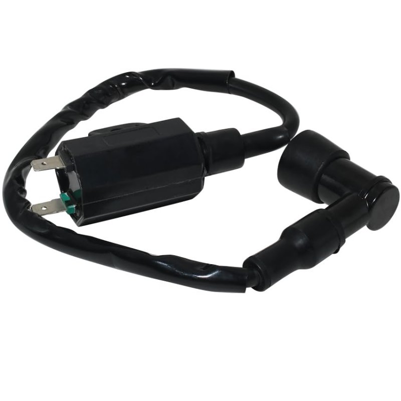 Ignition Coil 21121-1160 21121-1198 For Kawasaki Klf220 Klf220a Klf250 Klf250a Klf400 Klb Bayou 220 250 400 Kvf300 Kvf360