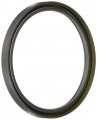 Timken 3909 Seal 