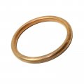 Caltric Muffler Pipe Gasket For Honda 18291-mv9-000 18291-mn4-920 18291-mt3-000 