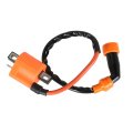 Ignition Coil And Igniter Cdi Box Replacement For 4bd-85540-10-00 Yamaha Timberwolf 250 Yf Fw 4x4 1994-2000 Bear Tracker 250 