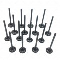 Tom Auto Parts Intake Exhaust Valve Kit Fits 1992 1993 1994 1995 1996 1997 1998 1999 2000 2001 2002 2003 2004 2005 2006 Hyundai