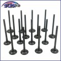 Tom Auto Parts Intake Exhaust Valve Kit Fits 1992 1993 1994 1995 1996 1997 1998 1999 2000 2001 2002 2003 2004 2005 2006 Hyundai