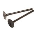 04-08 Chevrolet Aveo Aveo5 1 6 Dohc Intake Exhaust Valves