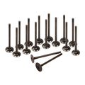 04-08 Chevrolet Aveo Aveo5 1 6 Dohc Intake Exhaust Valves