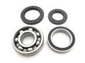 Rear Axle Bearings Seals Kit Yamaha Yfb250 Timberwolf 2wd 1992 1993 1994 1995 