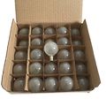 Box Of 25 Frosted G40 Globe Light Replacement Bulbs 