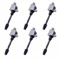Blpextrm Ignition Coil Pack Of 6 Replacement For Nissan Pathfinder 2001 3 5l V6 Replace Uf328 224484w000 224484w001 