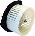 Tyc 700159 Buick Park Avenue Replacement Blower Assembly 