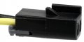 Airtex 1p1364 Pigtail 
