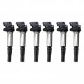 Ignition Coil Pack 6 Piece Set Mechanics Choice For 2006-2007 Bmw 525xi 