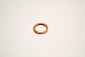 Ski-doo New Gasket Ring 420230150 