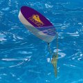 Graphics More University Of Northern Iowa Panthers Logo Floating Keychain Oval Foam Fishing Boat Buoy Key Float