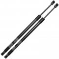 A-premium Rear Tailgate Lift Supports Shock Struts Compatible With Kia Rondo 2007-2010 Wagon 2-pc Set