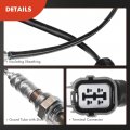 A-premium O2 Oxygen Sensor Compatible With Honda Prelude 1998 1999 2000 2001 2 2l Upstream And Downstream 2-pc Set Replace
