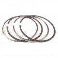 Fortpro F020402 Ring Set Cum 855 Replace 