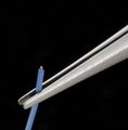 Engineer Precision Tweezers Ptz-02 Japan Import