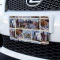 Rocky Mountain Outdoors Panels Pattern Novelty Metal Vanity Tag License Plate