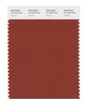 Pantone Smart 19-1250x Color Swatch Card Picante 