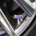 Toad Sitting In Front Of Mushrooms Tire Rim Wheel Aluminum Valve Stem Caps