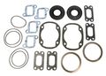 Spi Engine Gasket Set For Ski-doo Skandic 11 Slr 496 Type 93 